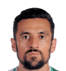 国际帕尔米拉