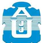 主队